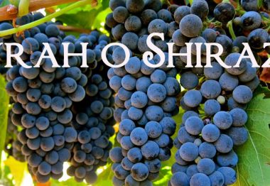 What are Syrah and Shiraz?