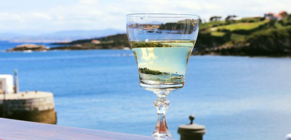 Todo lo que necesitas saber sobre el Sauvignon Blanc