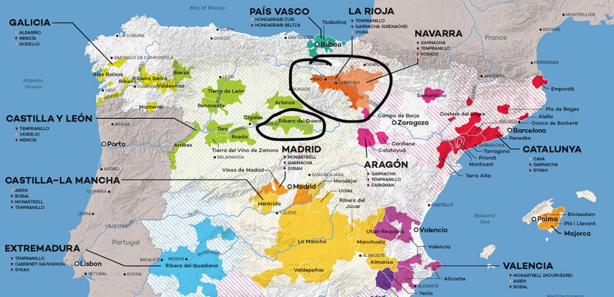 Las diferencias entre Rioja y Ribera del Duero