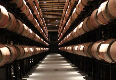 Spanish Wineries: Innovation and Tradition